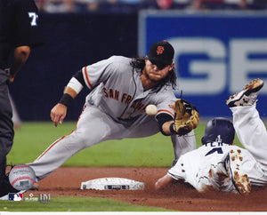 Brandon Crawford 8x10 Photos