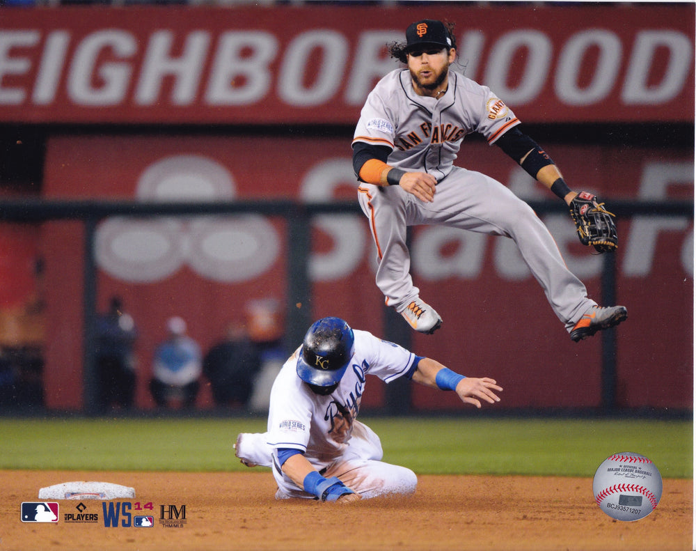 Brandon Crawford 8x10 Photos