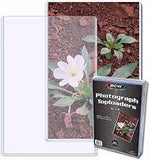 BCW Photograph Toploaders 6" x 9" Pack (25 Holders)